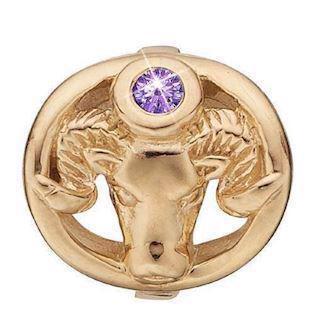 Christina Stjernetegn Vædder charm – forgyldt sølv, 6 mm til Classic læderarmbånd